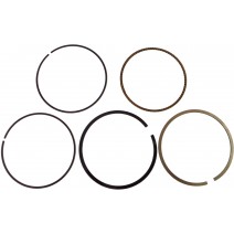 ANILLO STD HORSE DELGADO