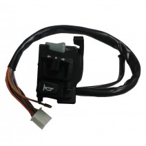 Mando Izquierdo Horse