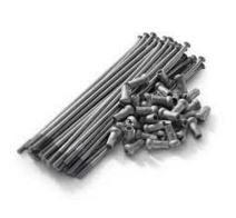 Rayos Traseros DR650 Original