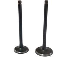 Valvulas Bera R1 / BRZ200