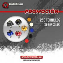 Combo 250 Tornillos Decorativos