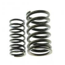 Resorte Valvulas DR650 