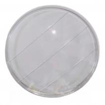 Mica Faro Redonda Bera SBR Socialista