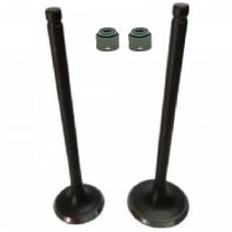 KIT VALVULA JAGUAR HORSE CON GOMA CUÑA CORTA