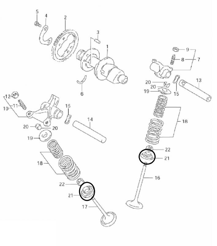 Asiento Valvula DR650 