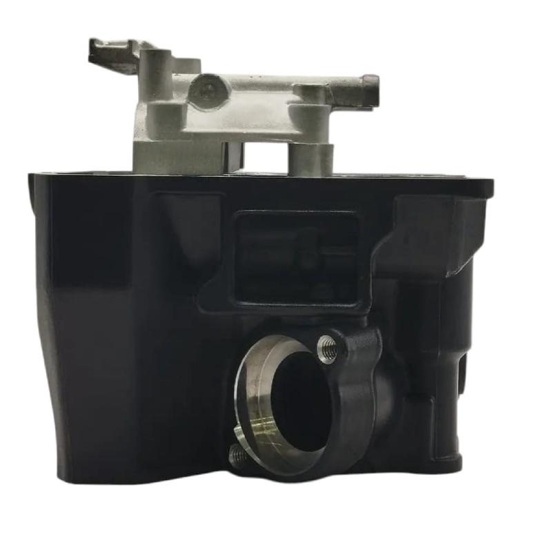 CAMARA HJ300 RALLY